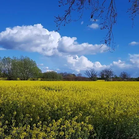 Feriemhof Kruse Nr 1 아파트 *