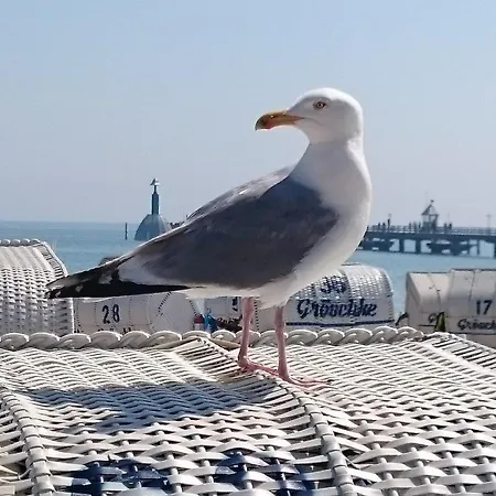 Feriemhof Kruse Nr 1