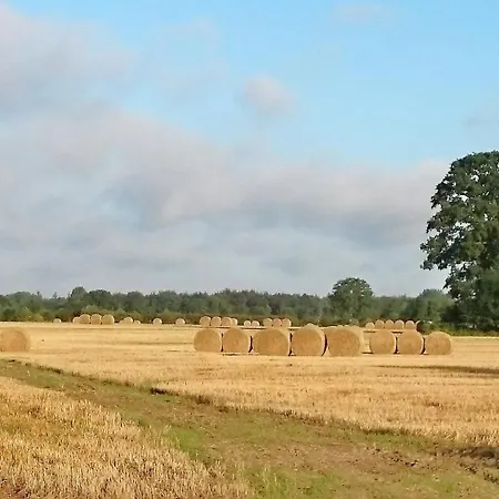 아파트 Feriemhof Kruse Nr 1 *