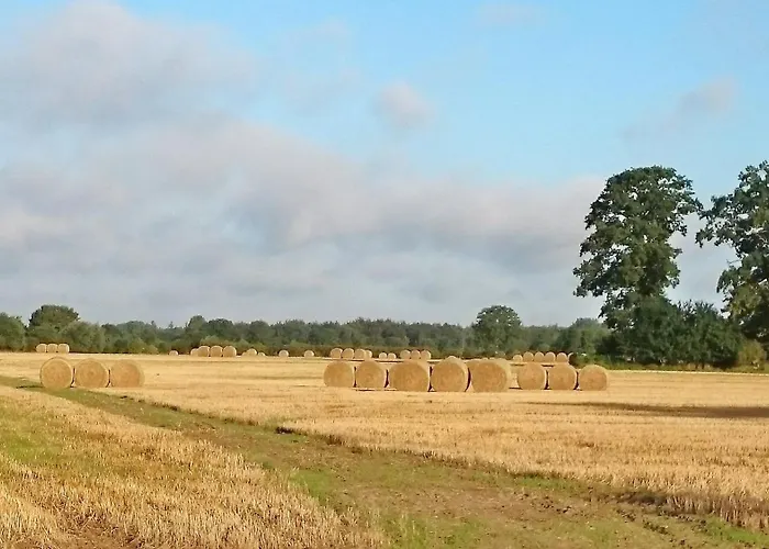 Appartement Feriemhof Kruse Nr 1 *